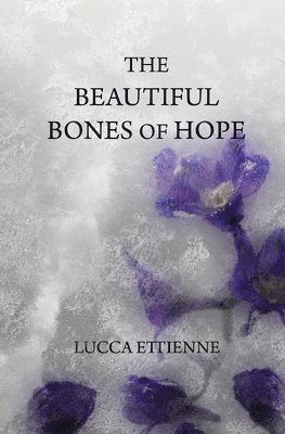 The Beautiful Bones of Hope 1