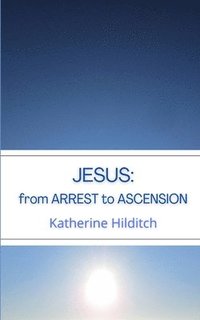 bokomslag Jesus: from Arrest to Ascension