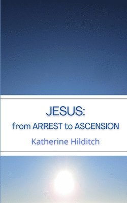 bokomslag Jesus: from Arrest to Ascension