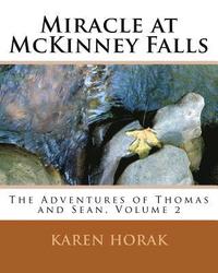 bokomslag Miracle at McKinney Falls