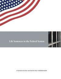 bokomslag Life Sentences in the Federal System