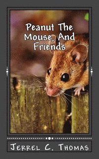 bokomslag Peanut The Mouse, And Friends: The Adventures Of A Dream