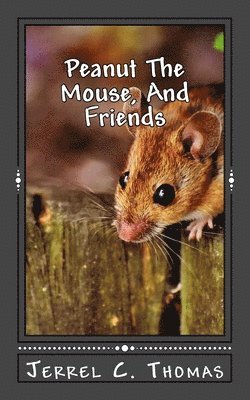 Peanut The Mouse, And Friends: The Adventures Of A Dream 1