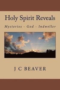 bokomslag Holy Spirit Reveals: Traditions, Mysteries, Salvation, Trinity, Seals, Sanctification, Indwelling