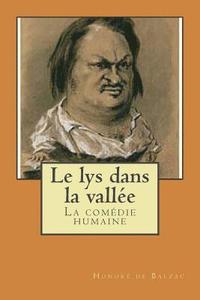 bokomslag Le lys dans la vallee: La comedie humaine