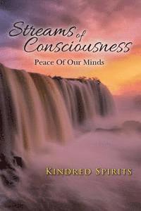 bokomslag Streams Of Consciousness