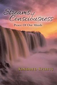 bokomslag Streams Of Consciousness