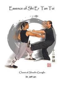 bokomslag Essence of Shi Er Tan Tui: Classical Shaolin Gongfu