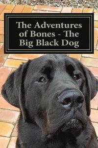 bokomslag The Adventures of Bones - The Big Black Dog: Bones Needs a Playmate