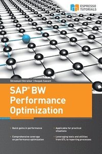 bokomslag SAP BW Performance Optimization