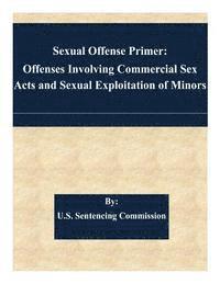 bokomslag Sexual Offense Primer: Offenses Involving Commercial Sex Acts and Sexual Exploitation of Minors