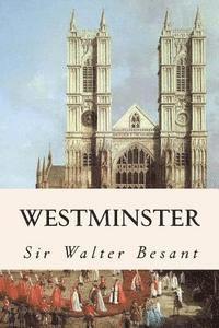 bokomslag Westminster