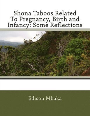 bokomslag Shona Taboos Related To Pregnancy, Birth and Infancy: Some Reflections