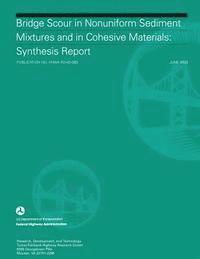 bokomslag Bridge Scour in Nonuniform Sediment Mixtures and in Cohesive Materials: Synthesis Report