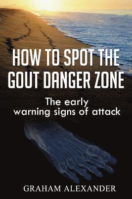 bokomslag How To Spot The Gout Danger Zone: The early warning signs of attack