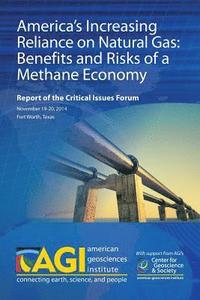 bokomslag America's Increasing Reliance on Natural Gas: Benefits and Risks of a Methane Economy: Report of the Critical Issues Forum