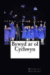 bokomslag Bywyd ar ol Cychwyn