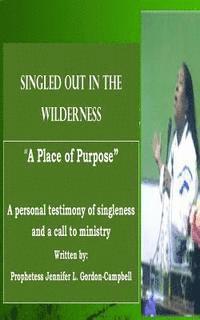bokomslag Singled Out In the Wilderness: A Place of Purpose