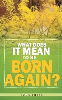 bokomslag What Does It Mean To Be Born Again?