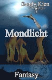 Mondlicht 1