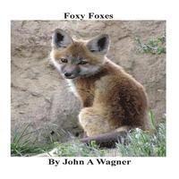 bokomslag Foxy Foxes
