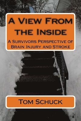 bokomslag A View From the Inside: A Survivors Perspective of Brain Injury and Stroke