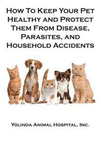 bokomslag How To Keep Your Pet Healthy and Protect Them From Disease, Parasites, and Household Accidents