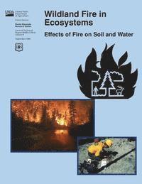 bokomslag Wildland Fire in Ecosystems: Effects of Fire on Soil and Water