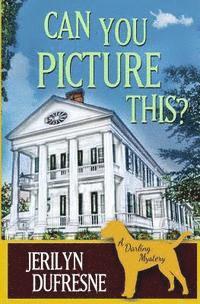 bokomslag Can You Picture This?: a Sam Darling mystery