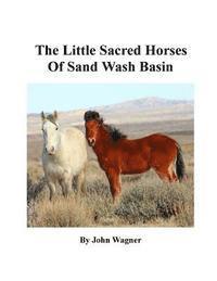 bokomslag Little Sacred Horses of Sand Wash Basin