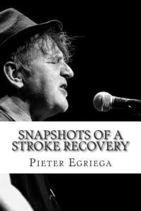 bokomslag SnapShots of a Stroke Recovery: Stroke Association Creative Arts Award Winner 2014