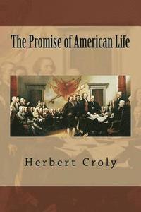 bokomslag The Promise of American Life