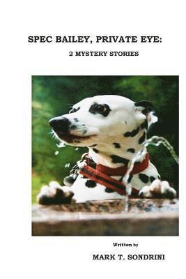 bokomslag Spec Bailey, Private Eye: 2 Mystery Stories