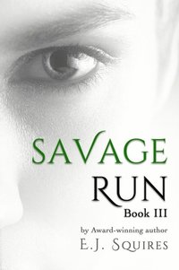 bokomslag Savage Run 3: Book 3 in the Savage Run series