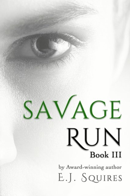 Savage Run 3: Book 3 in the Savage Run series 1