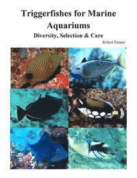 bokomslag Triggerfishes for Marine Aquariums: Diversity, Selection & Care