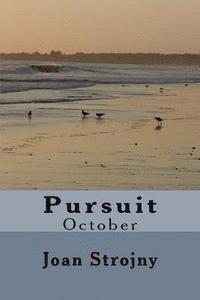 Pursuit 1