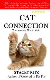 bokomslag Cat Connection: Heartwarming Rescue Tales