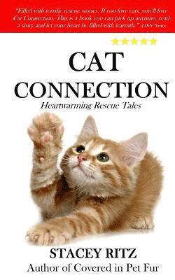 Cat Connection: Heartwarming Rescue Tales 1