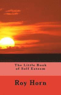bokomslag The Little Book of Self Esteem
