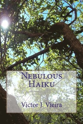 bokomslag Nebulous Haiku