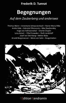 bokomslag Begegnungen - Auf dem Zauberberg und anderswo: Thomas Mann - Rainer Maria Rilke - Andre Gide - Hugo von Hofmannsthal u.a.