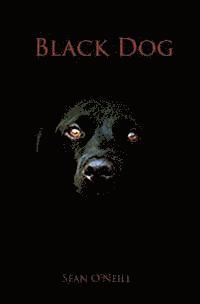 bokomslag Black Dog