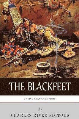 bokomslag Native American Tribes