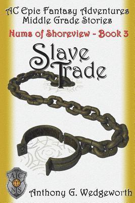 bokomslag Slave Trade