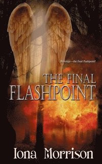 bokomslag The Final Flashpoint