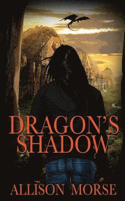 Dragon's Shadow 1