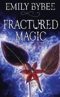 bokomslag Fractured Magic