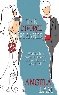 bokomslag The Divorce Planner