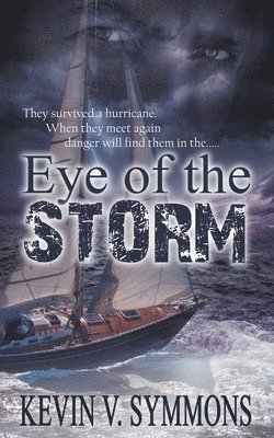 bokomslag Eye of the Storm